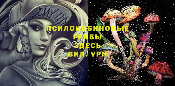 соль ск Абдулино