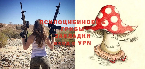 соль ск Абдулино