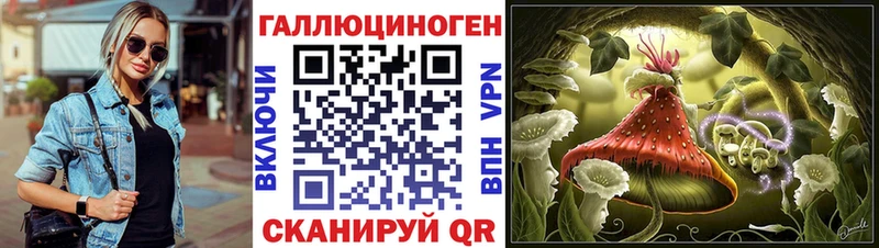 закладка  даркнет клад  кракен онион  Галлюциногенные грибы Psilocybe  Кинешма 